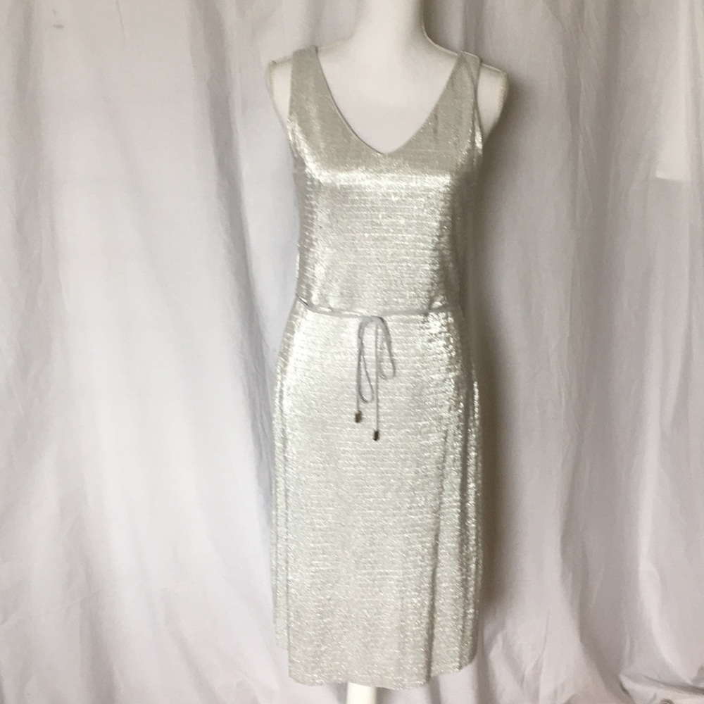 NWOT Silver Shimmer Dress